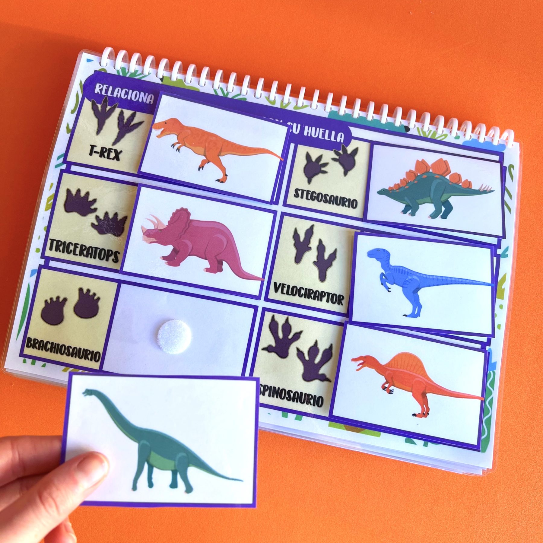 Librito de Dinosaurios – Maestra con clase